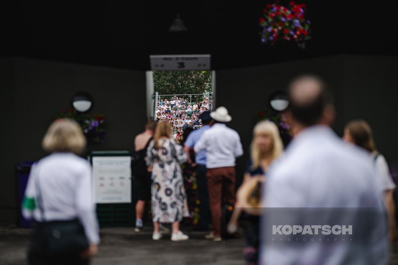 Feature — 2023 Wimbledon