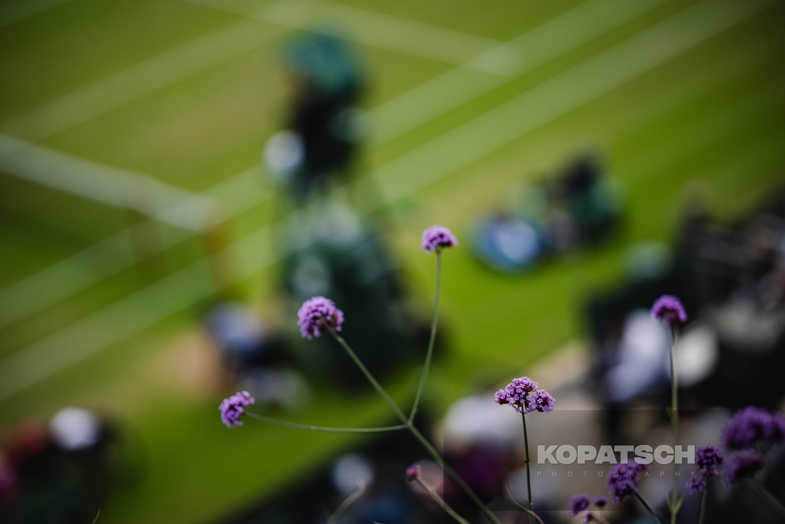 Feature — 2023 Wimbledon