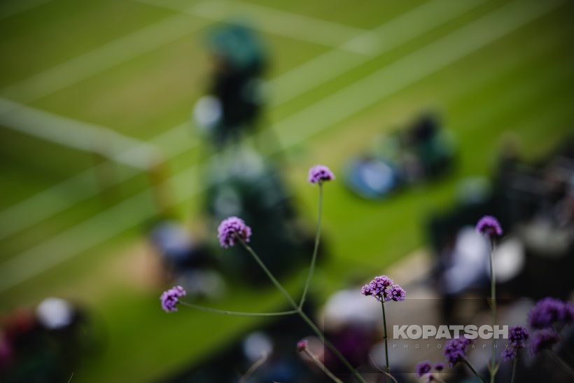 Feature — 2023 Wimbledon