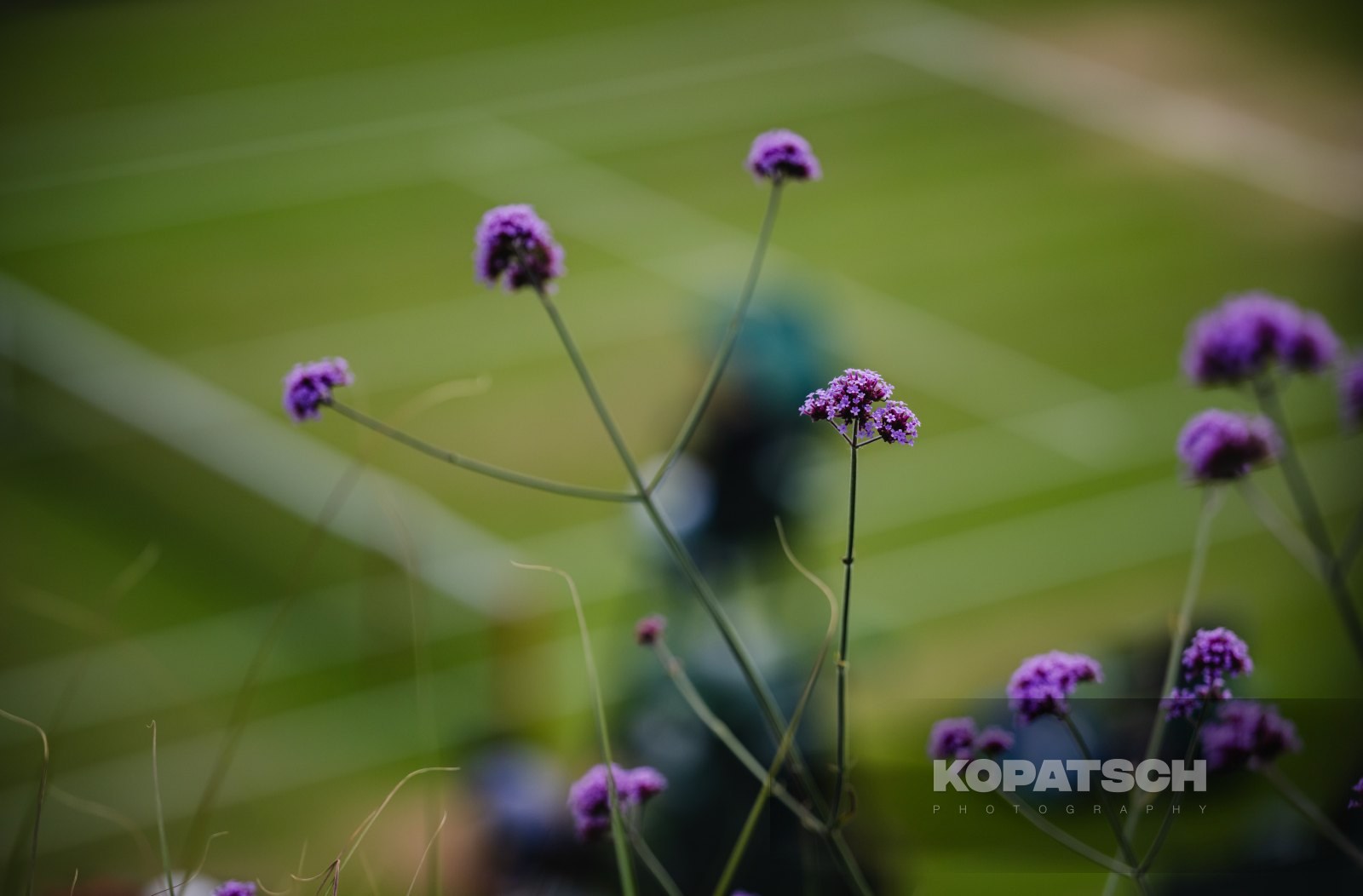 Feature — 2023 Wimbledon