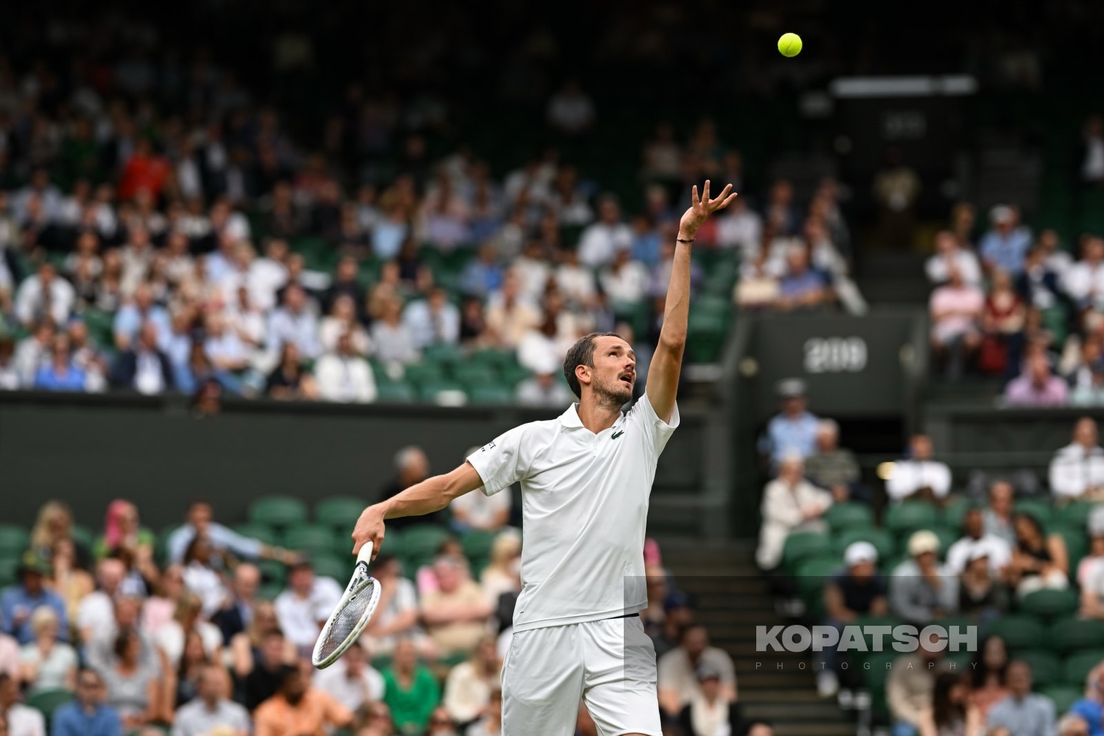 Daniil Medvedev — 2024 Wimbledon