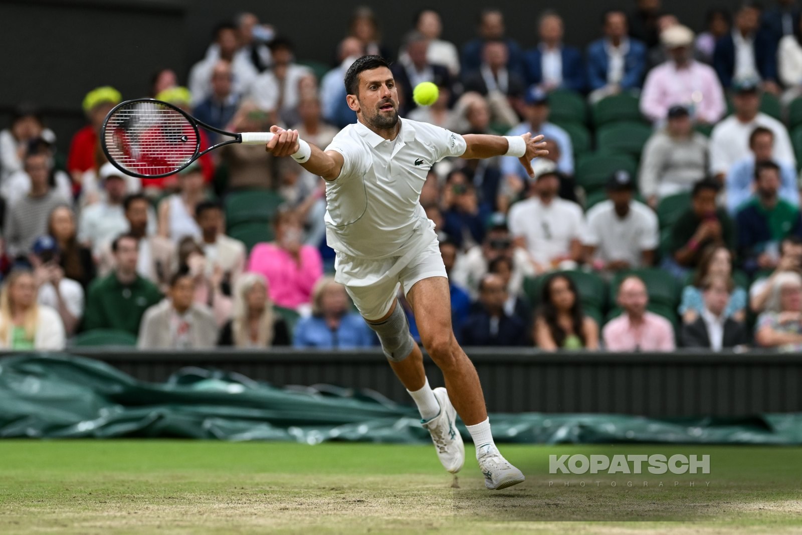 Novak Djokovic — 2024 Wimbledon