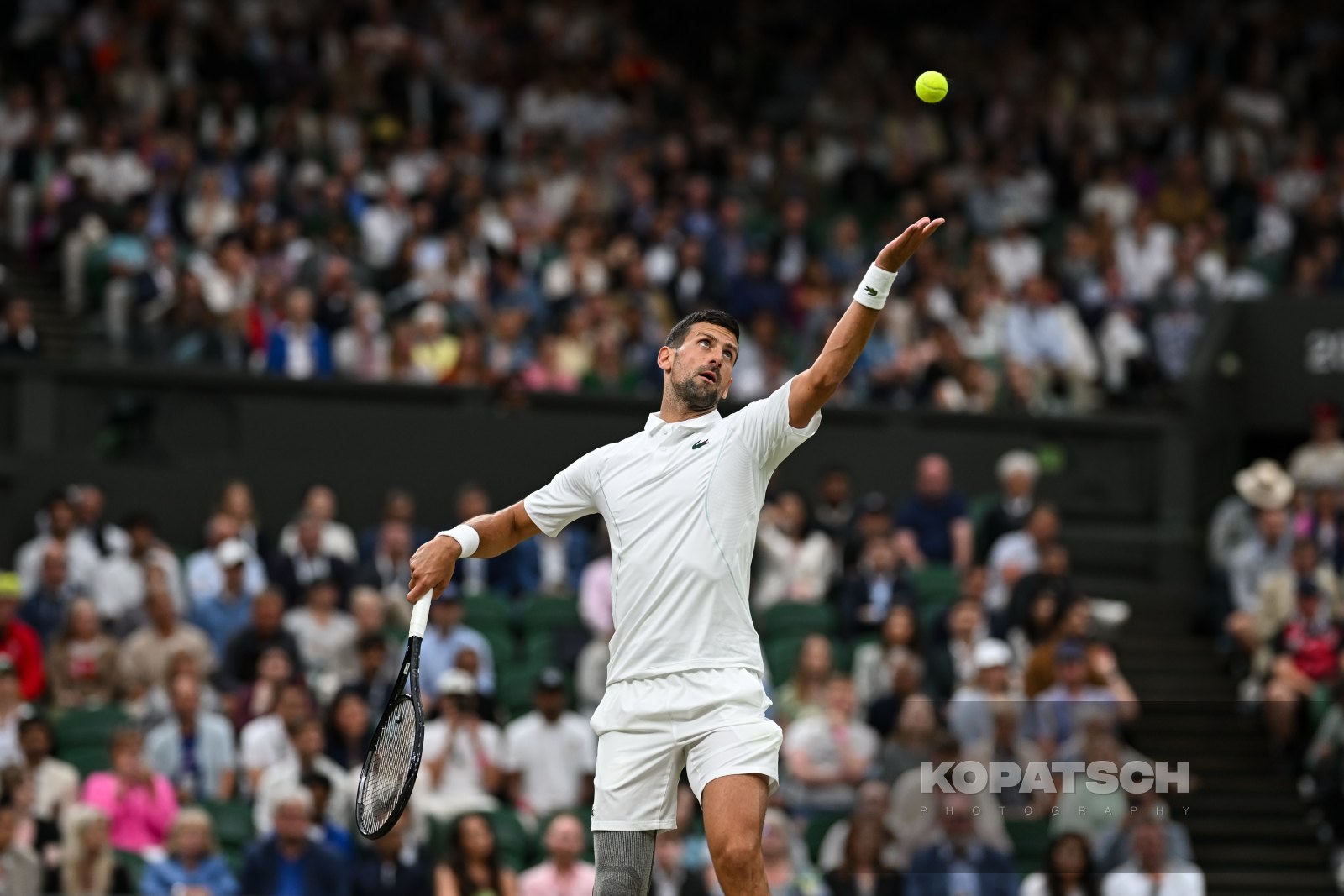 Novak Djokovic — 2024 Wimbledon