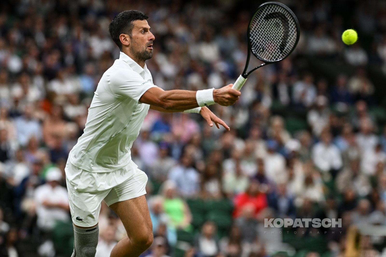 Novak Djokovic — 2024 Wimbledon