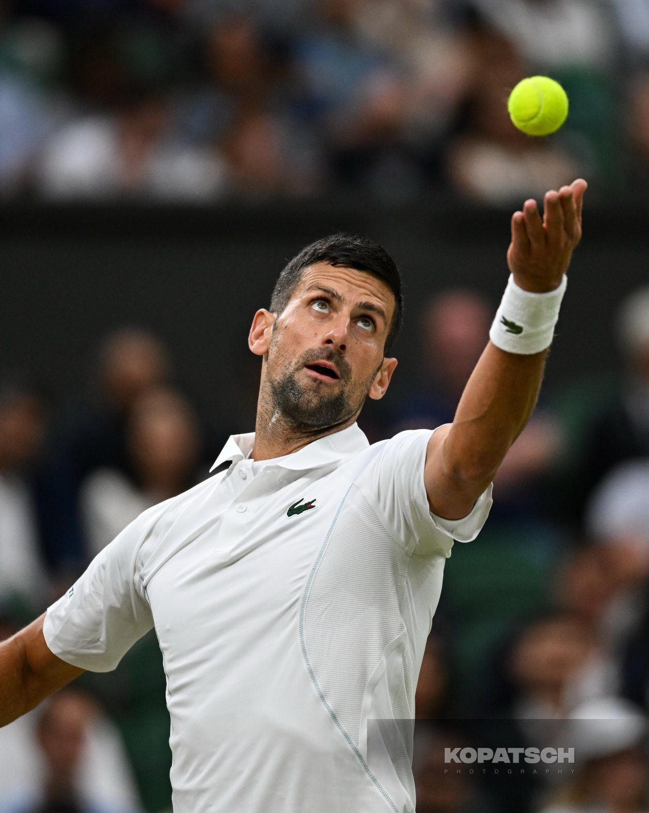 Novak Djokovic — 2024 Wimbledon