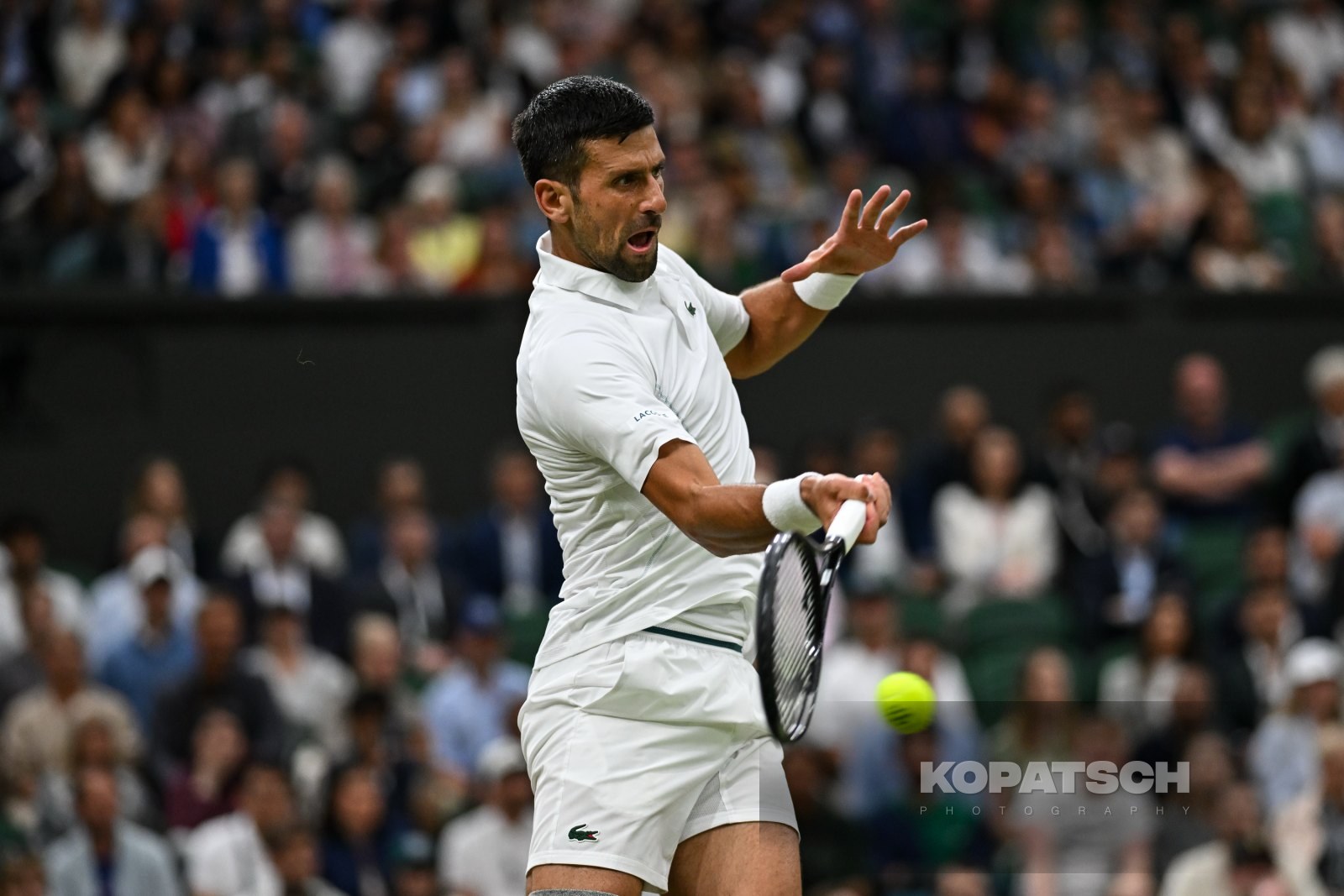 Novak Djokovic — 2024 Wimbledon