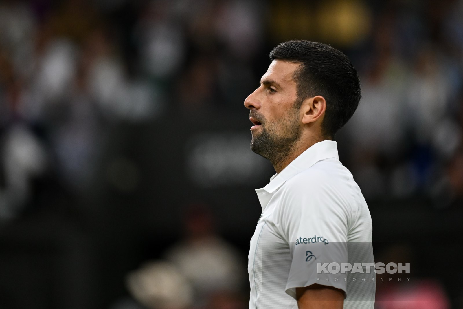 Novak Djokovic — 2024 Wimbledon