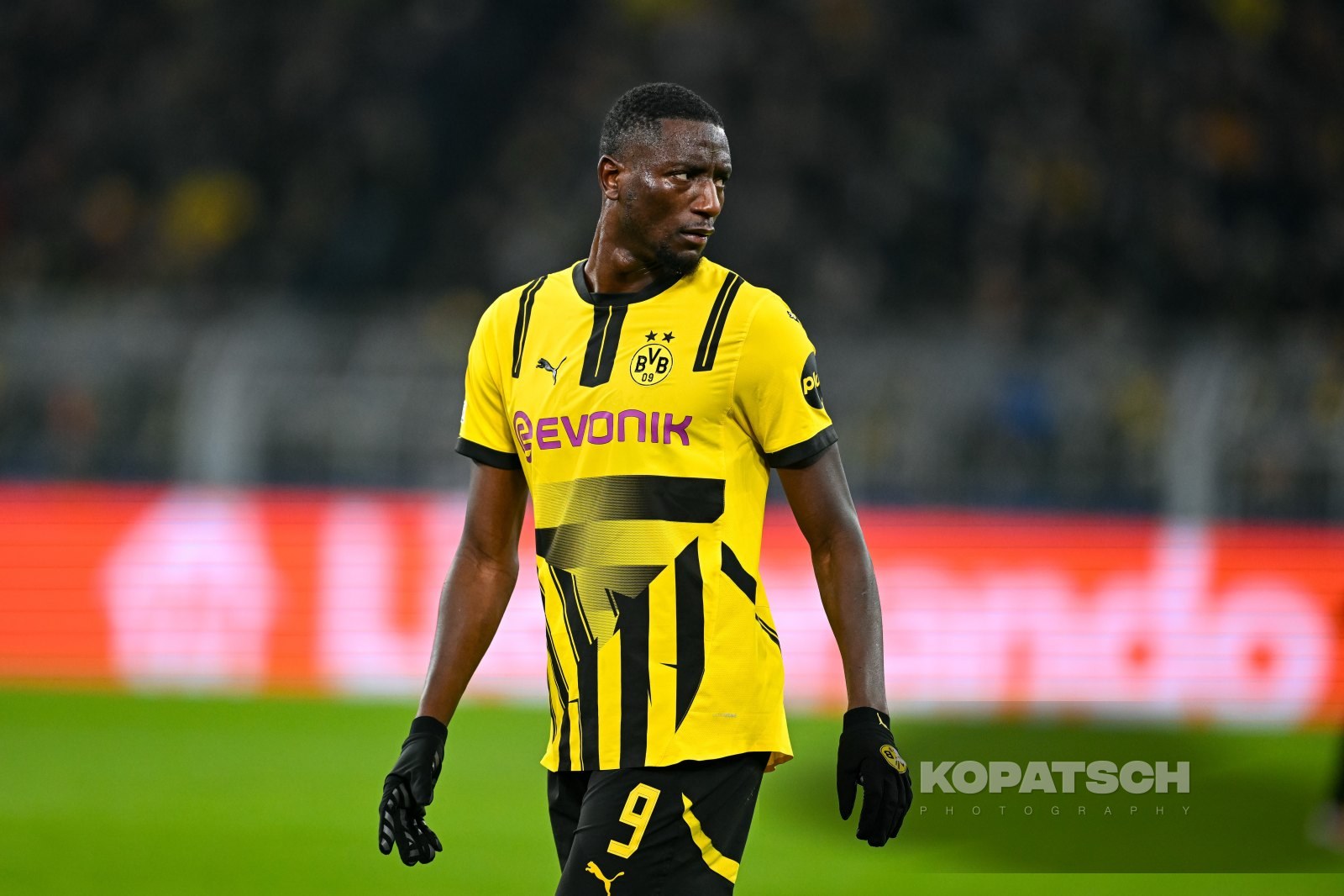 Serhou Guirassy · 2025-01-29 Borussia Dortmund vs Shakhtar Donetsk