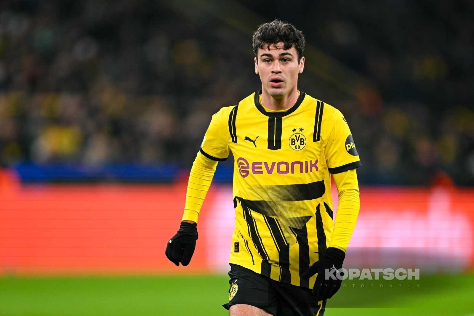 Giovanni Reyna · 2025-01-29 Borussia Dortmund vs Shakhtar Donetsk