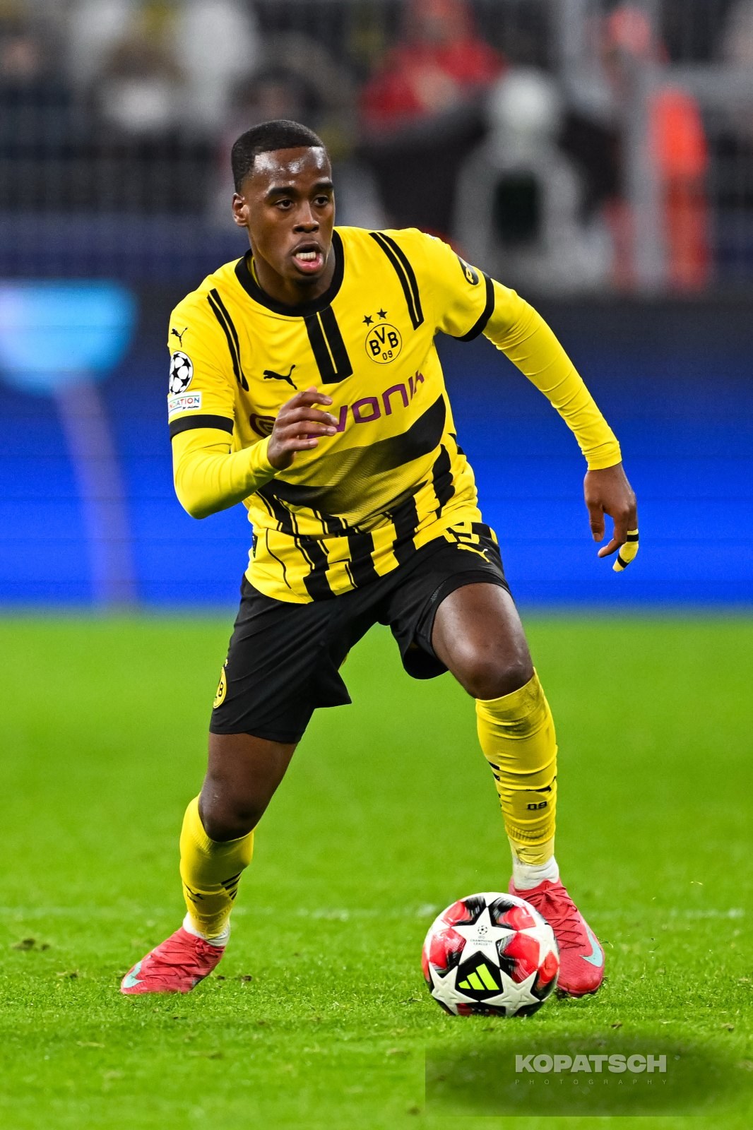 Jamie Gittens · 2025-01-29 Borussia Dortmund vs Shakhtar Donetsk