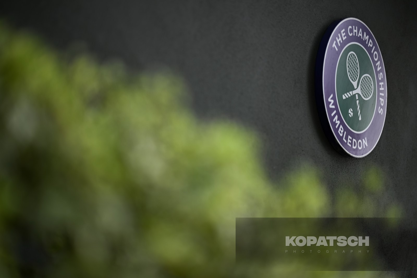Previews: The Championships – Wimbledon 2025 — 2025 Wimbledon