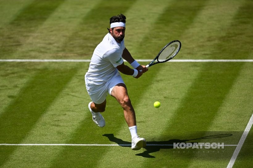 Nikoloz Basilashvili — 2025 Wimbledon