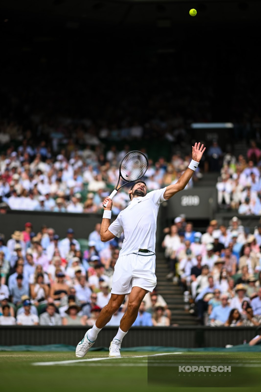 Novak Djokovic — 2025 Wimbledon