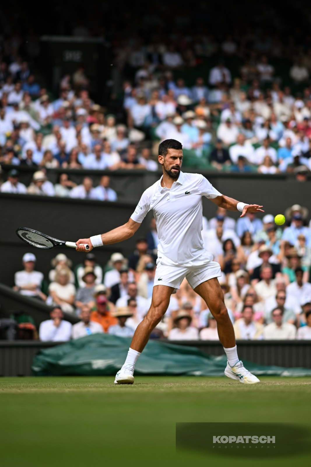 Novak Djokovic — 2025 Wimbledon