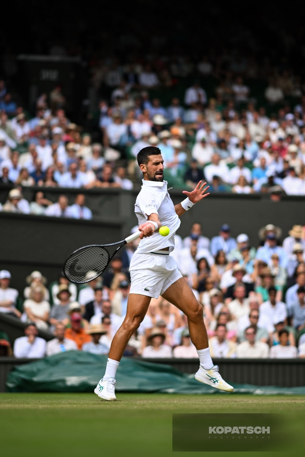 Novak Djokovic — 2025 Wimbledon