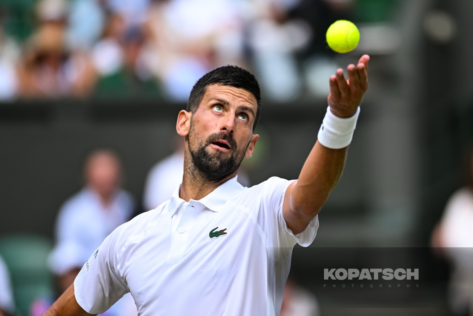 Novak Djokovic — 2025 Wimbledon