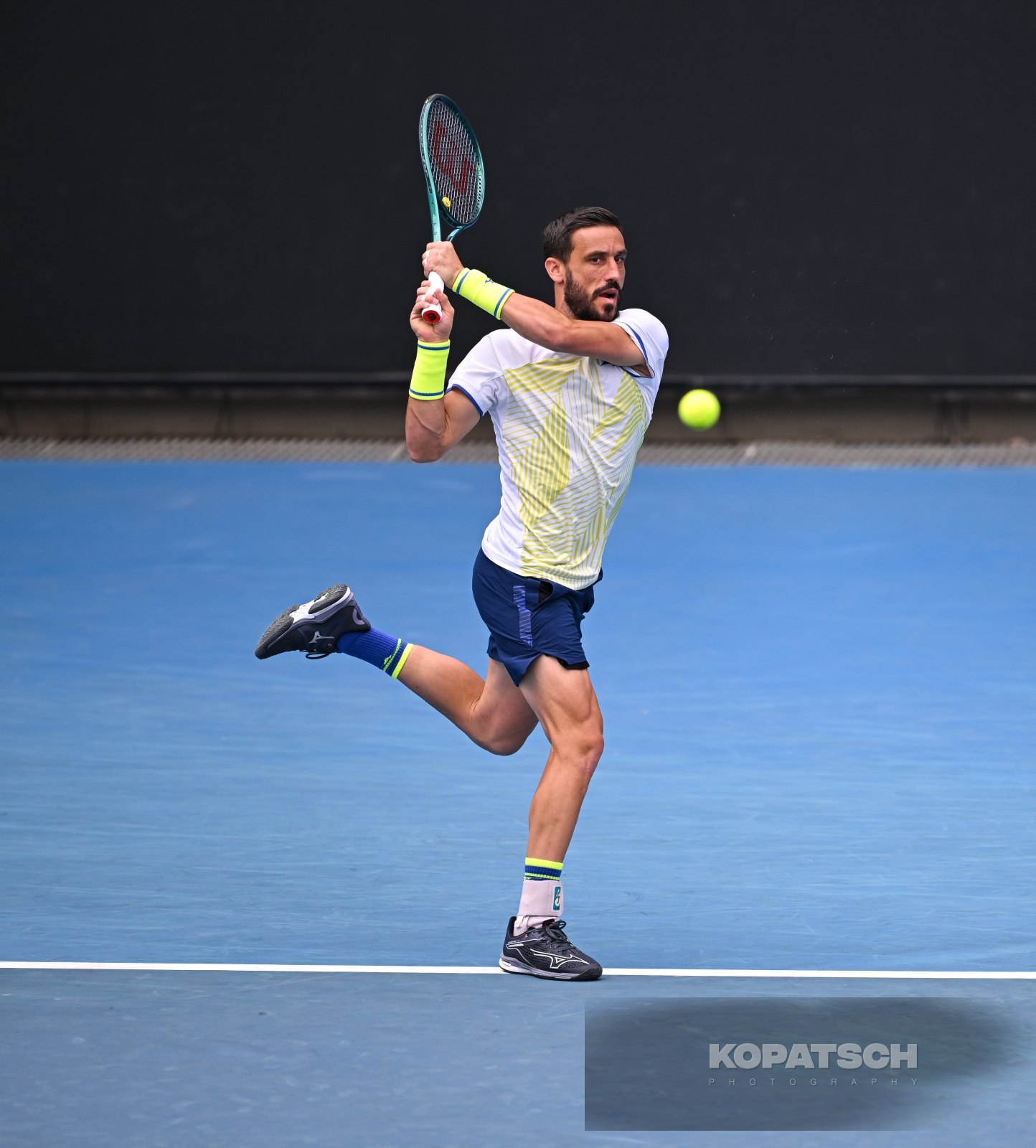 Damir Dzumhur — 2026 Australian Open