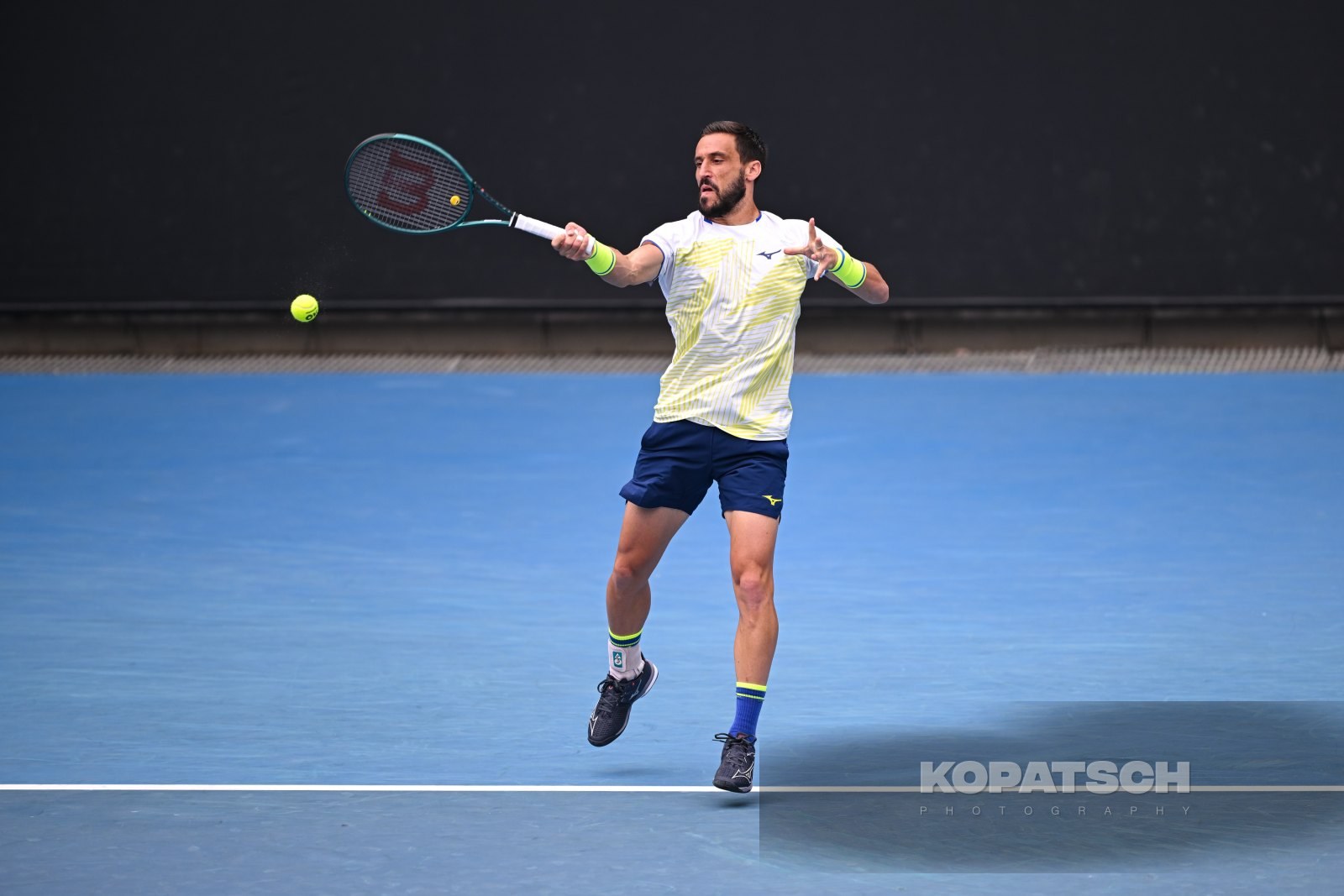 Damir Dzumhur — 2026 Australian Open