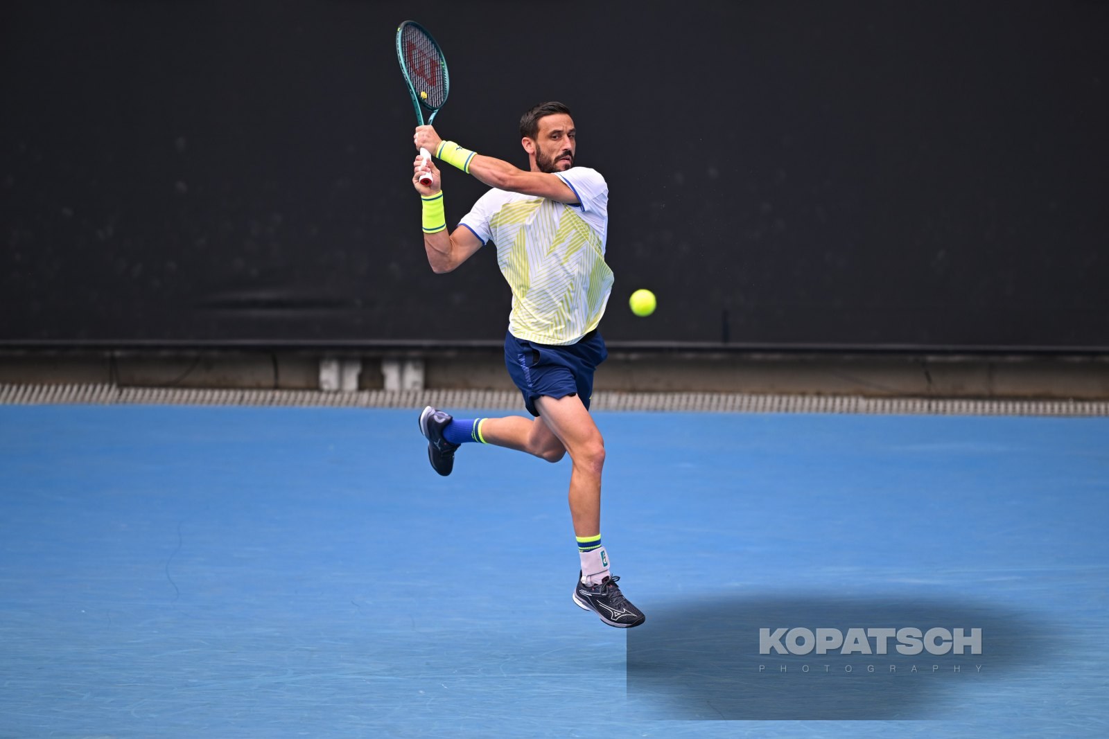 Damir Dzumhur — 2026 Australian Open