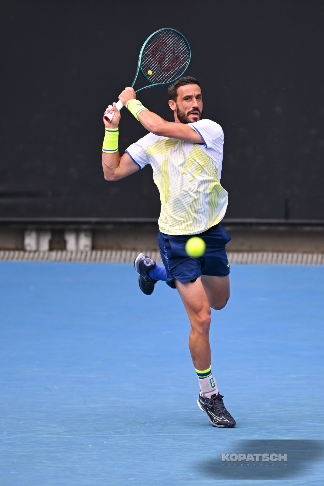 Damir Dzumhur — 2026 Australian Open