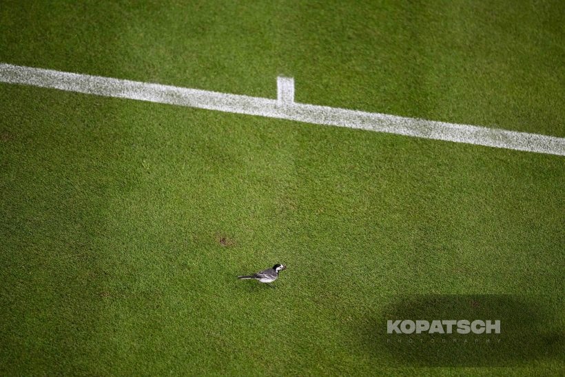 A general view — 2026 Wimbledon