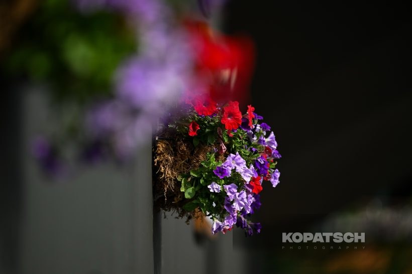 A general view — 2026 Wimbledon
