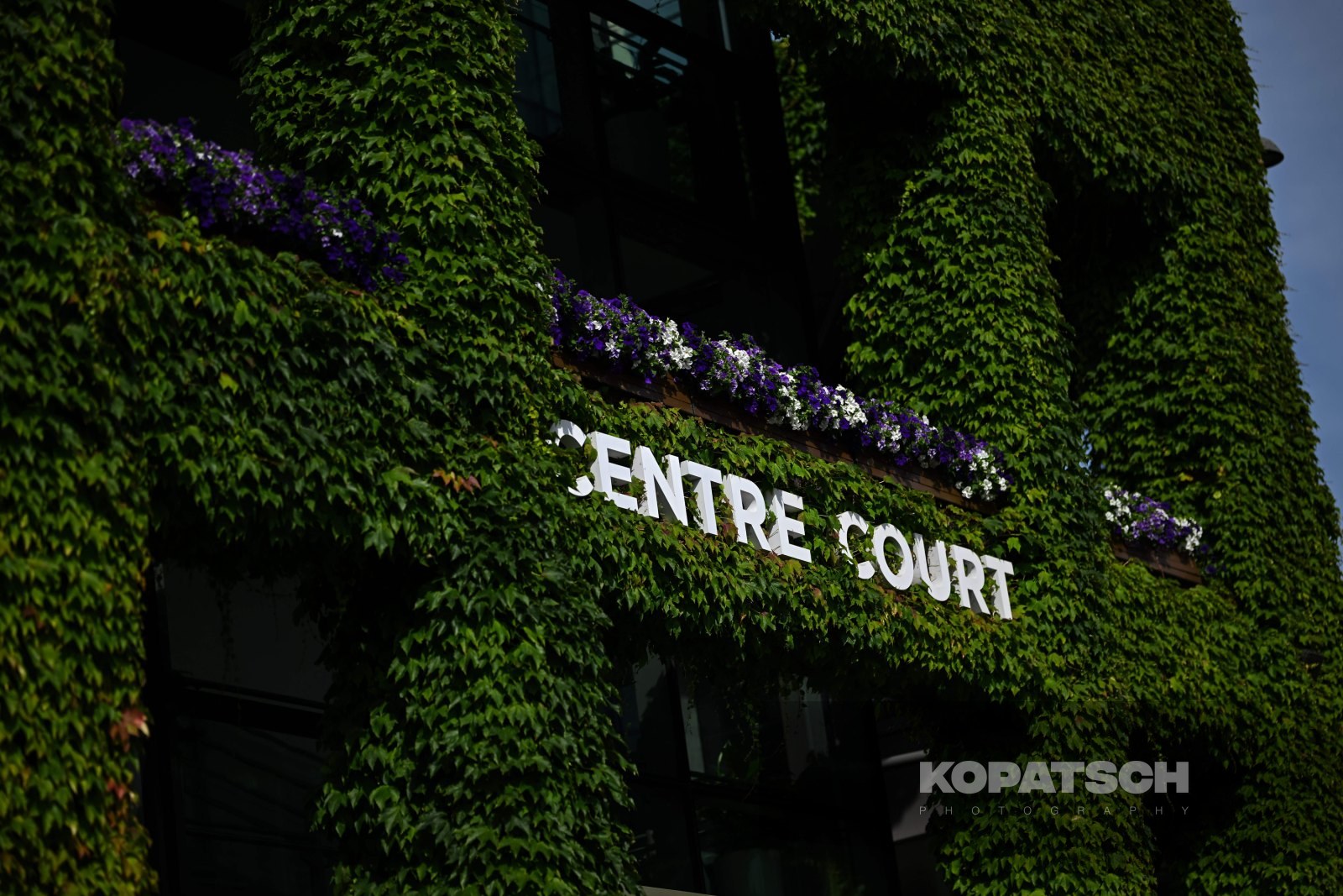 A general view — 2026 Wimbledon