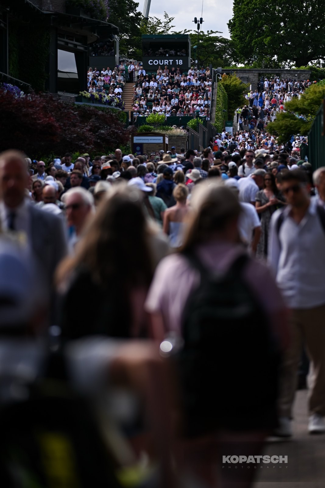 A general view — 2026 Wimbledon